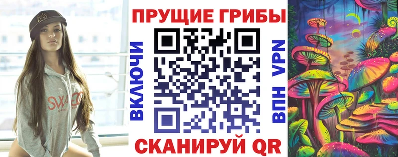 купить наркоту  Аргун  сайты даркнета наркотические препараты  Галлюциногенные грибы GOLDEN TEACHER 